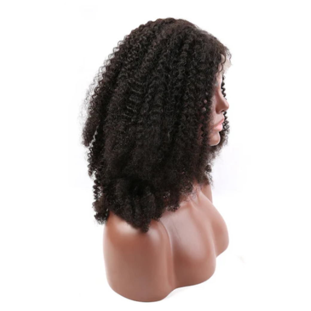 Kinky Curl Front Lace Wig